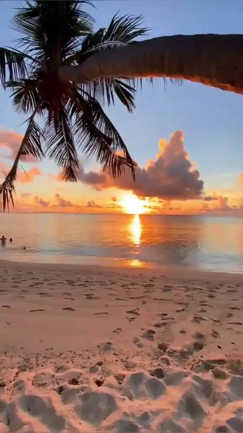 美丽的日落晚霞景色一望无际的大海惬意的沙滩氛围