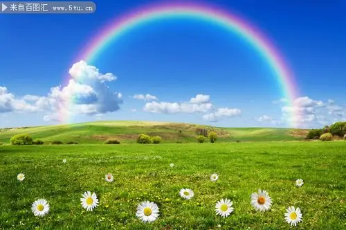 春天草地风景背景图片素材