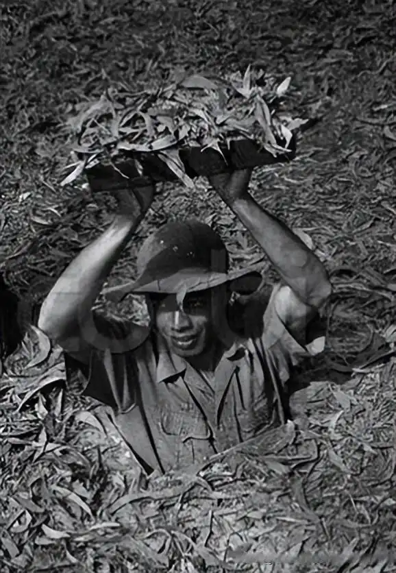 越南人镜头下的中越战争(罕见多图)!