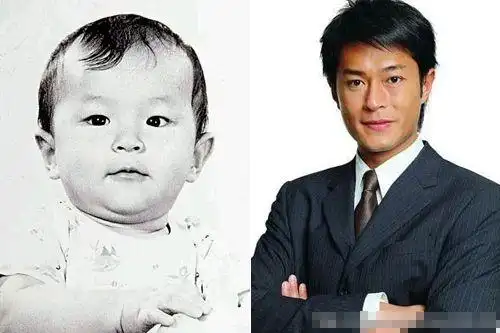 刘德华王菲谢霆锋张柏芝吴彦祖明星少时谁最萌