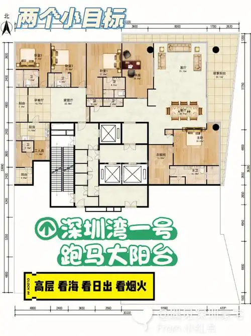 看海看日出看烟火深圳湾一号两年出一套