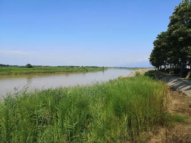 渭河岸边
