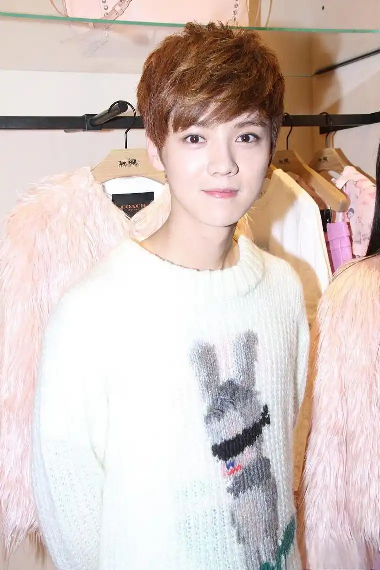 鹿晗巅峰告白:娱乐圈中的真情与担当,彰显独特男友力 鹿晗,娱乐圈的