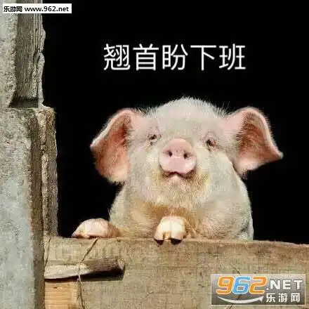 翘首盼下班表情包图片