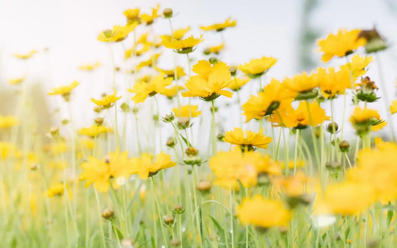 分享一组1920x1200的小清新唯美高清电脑桌面壁纸图片~~为你的桌面换