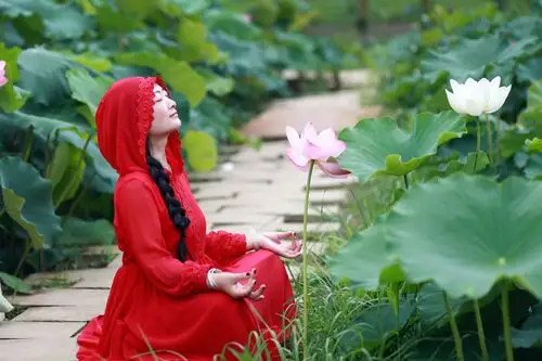 7心如莲花.一路芬芳