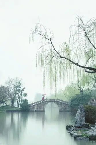 烟雨江南春(资料图片)