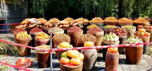 五谷丰登,土古洞今年又是大丰收