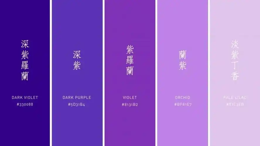 偏爱紫色,天生高贵