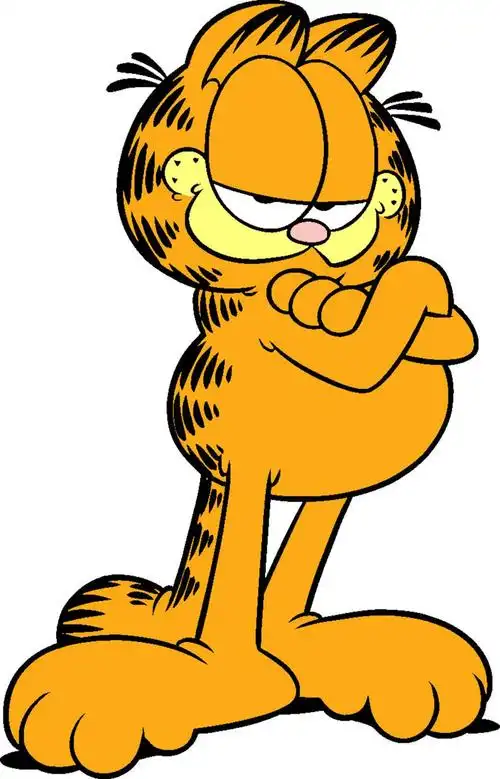 p>加菲猫(garfield)是在漫画《加菲猫》及其衍生作品中登场的角色