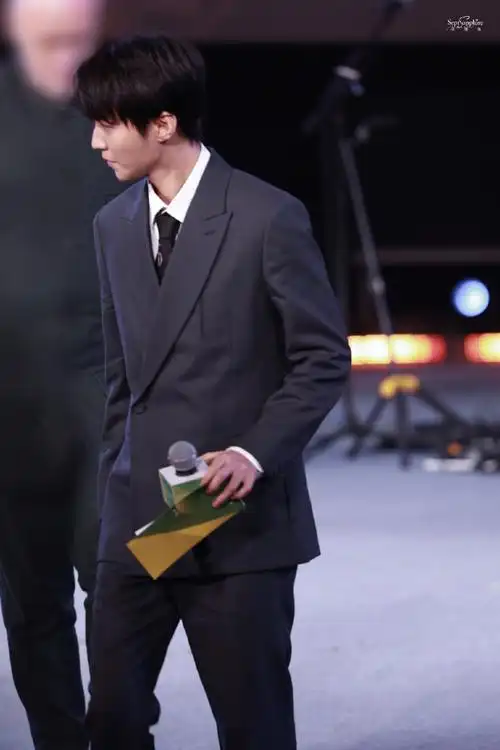 展特约策展人##王俊凯红毯全身镜头#萧萧肃肃,爽朗清举@tfboys-王俊凯