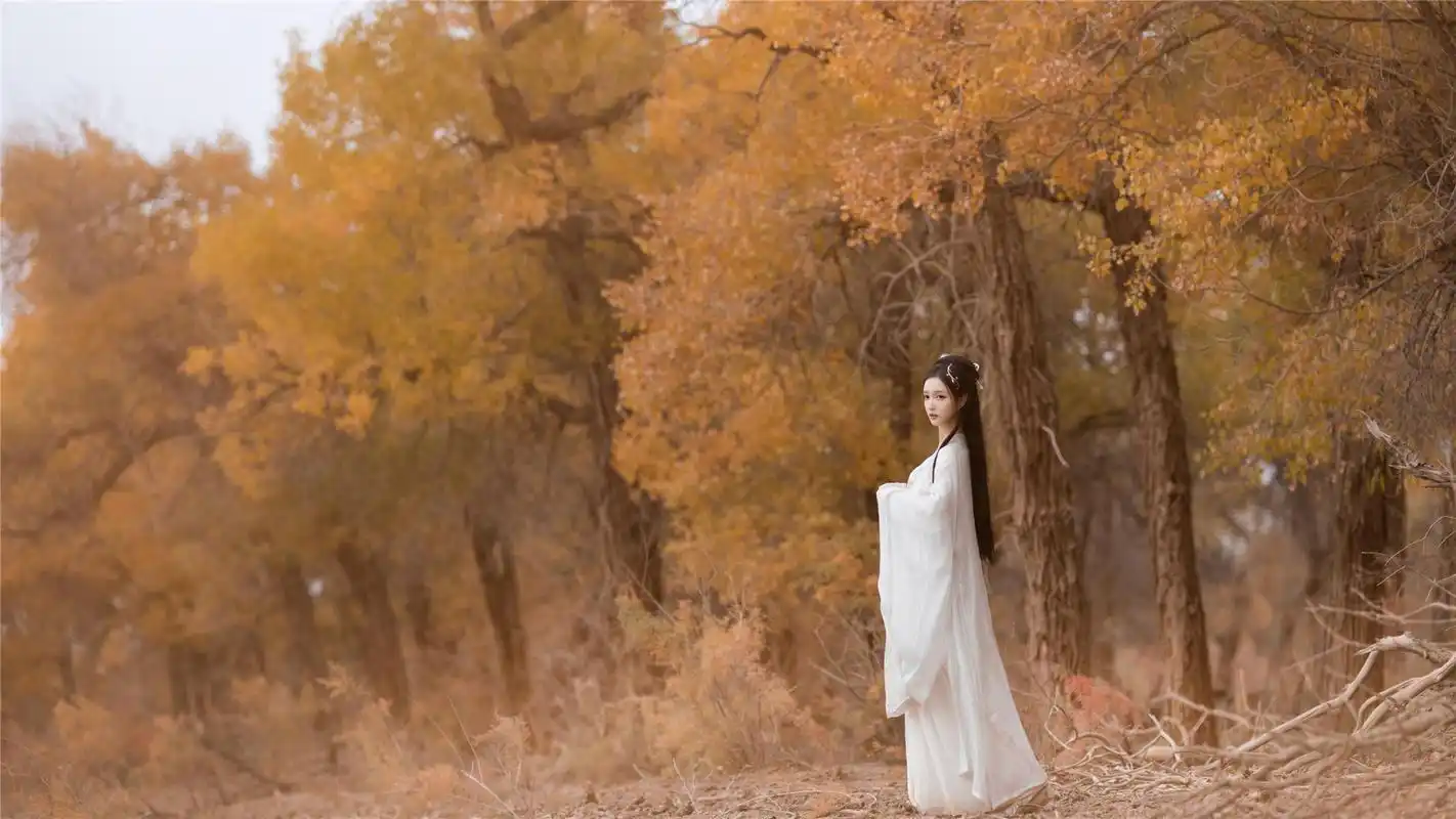 白衣古装美女仙气高清桌面壁纸