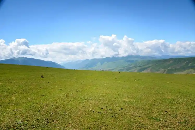 天山山地草甸草原最典型的代表,喀拉峻.