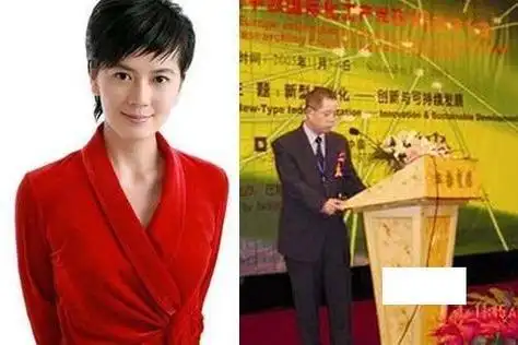 许戈辉老公丁健撇幼女离家 揭女主播老公秘闻(图)