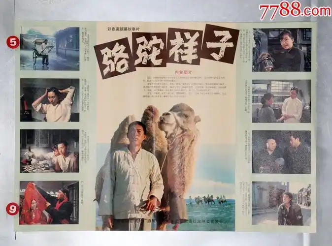 骆驼祥子(老舍名著)_电影海报_第1张_7788相机收藏