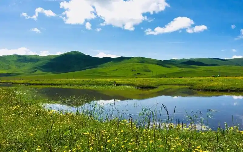 唯美护眼绿色草原风景,高清图片-壁纸族