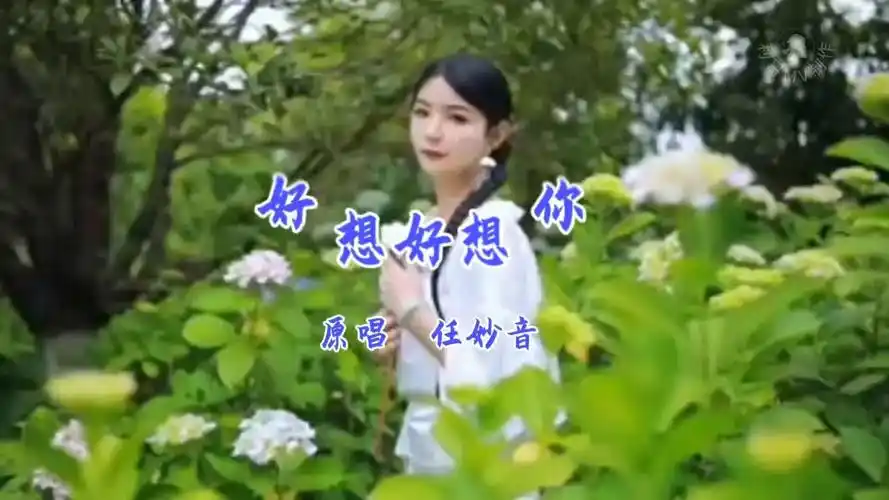 任妙音《好想好想你》