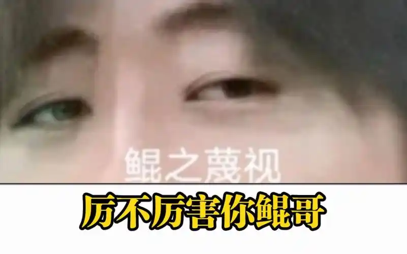 厉不厉害你鲲哥