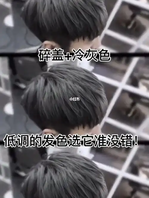 冷灰色_发色_aw hair salon(八一广场总店四楼)攻略_染发_染头发_发色