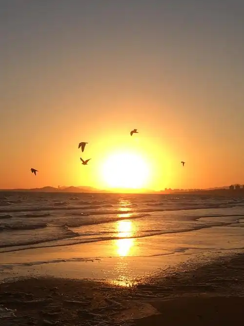 烟台海边看日出(手机拍摄)