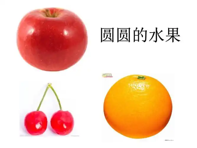 小班数学--认识圆形.ppt 12页