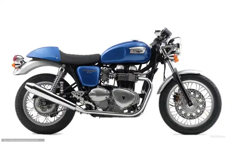 triumph, modern classic, thruxton, thruxton 2006