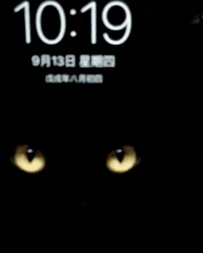 抖音爆火壁纸: "黑猫,路灯,火影" 大全版本!