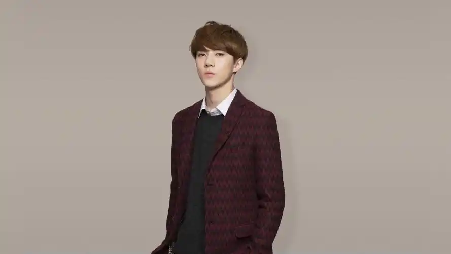 exo成员吴世勋帅气电脑桌面壁纸下载1