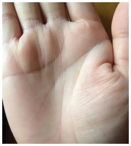 将来有福气的女人手相