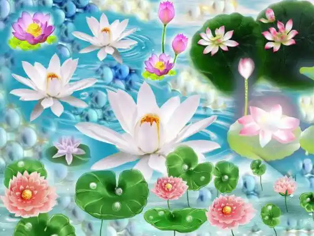 知道极乐世界是什么样吗进来参观一下希望大家天天看