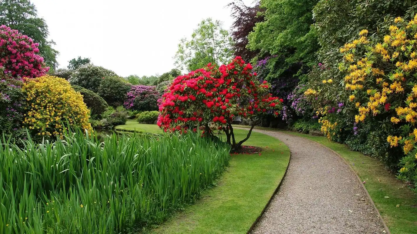 心中的花园,风景-回车桌面