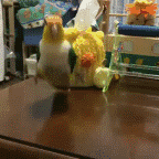 沙雕表情包哈哈哈壁纸背景图可爱