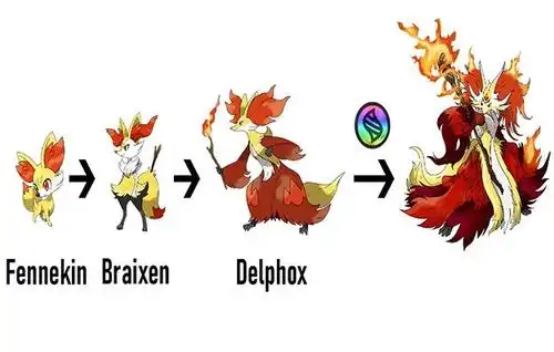 mega进化的宝可梦们,甲贺忍蛙全副武装上阵,贵妇形象的花洁夫人