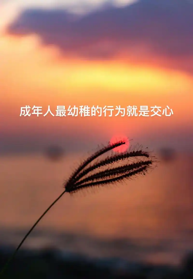 成年人最幼稚的行为就是交心