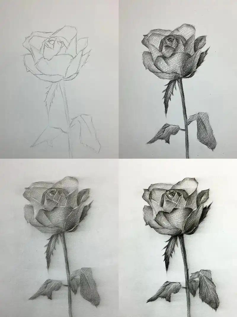 画朵玫瑰,手留余香.超详细玫瑰花步骤过程来咯! #素描 #素 - 抖音