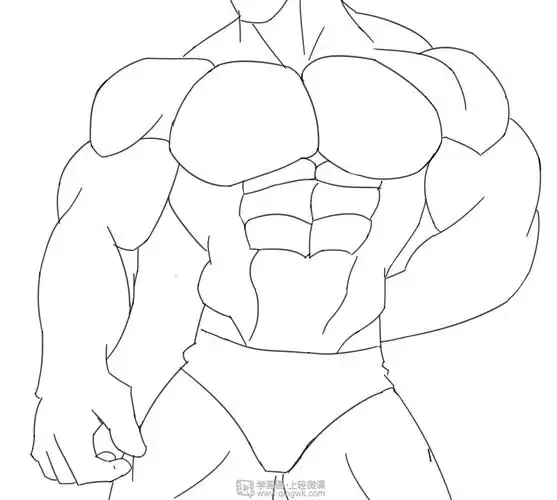临摹男性肌肉—角色人物肌肉绘画训练
