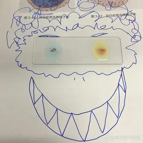 p>给大家表演个测血型 br>好吧其实是上实验课讲到的凝集反应? /p>