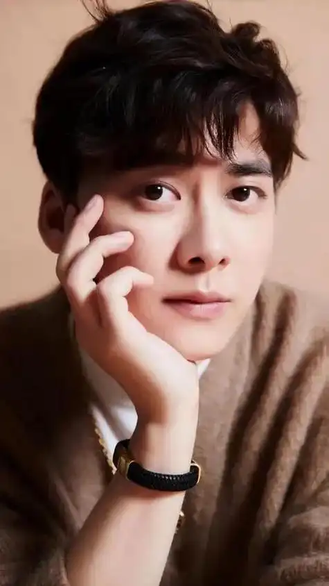 国内男明星名单(男明星人气排行榜)  第9张