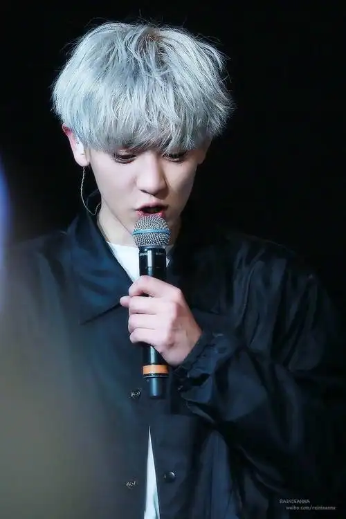 朴灿烈exochanyeol银发可爱