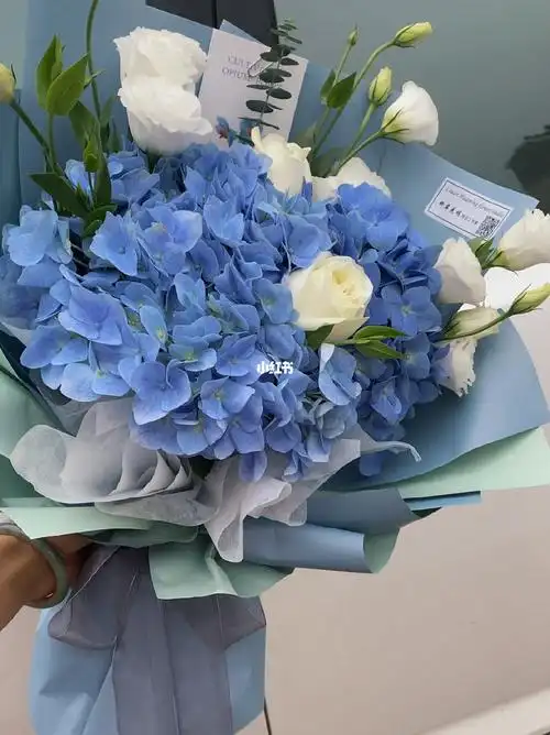 治愈系的感觉蓝绣球花束