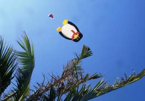 企鹅风筝1.jpg