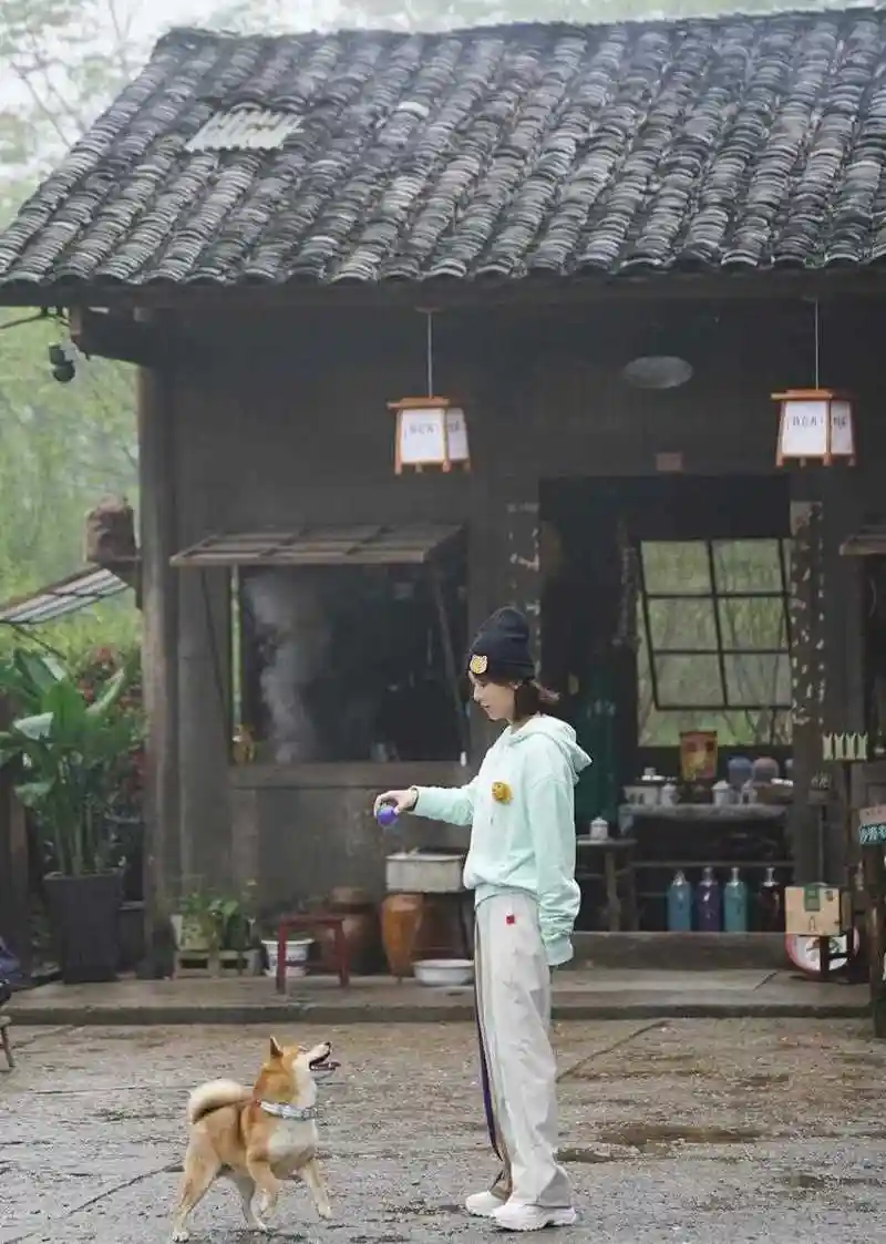 杨紫《向往的生活》私服解析,浅绿色卫衣搭配拼接阔腿裤和白色运动鞋