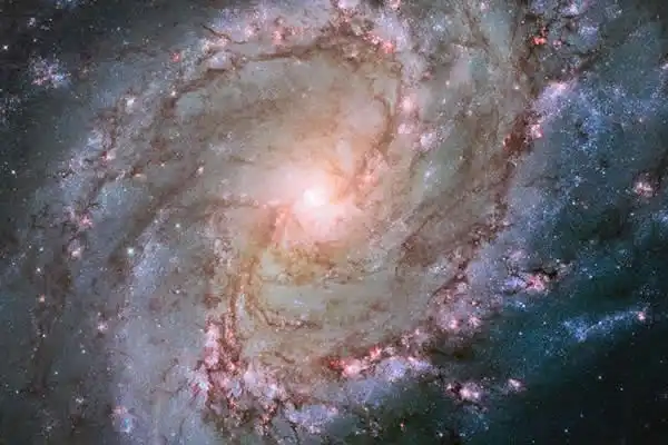 新的哈勃图像揭示了梅西耶83星系中的特殊结构,其拥有中央棒状和旋臂