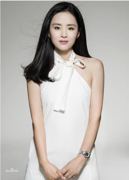 宣传家乡秀美风光展现侨胞家国情怀意大利华侨回丽拍摄网剧超能度假村