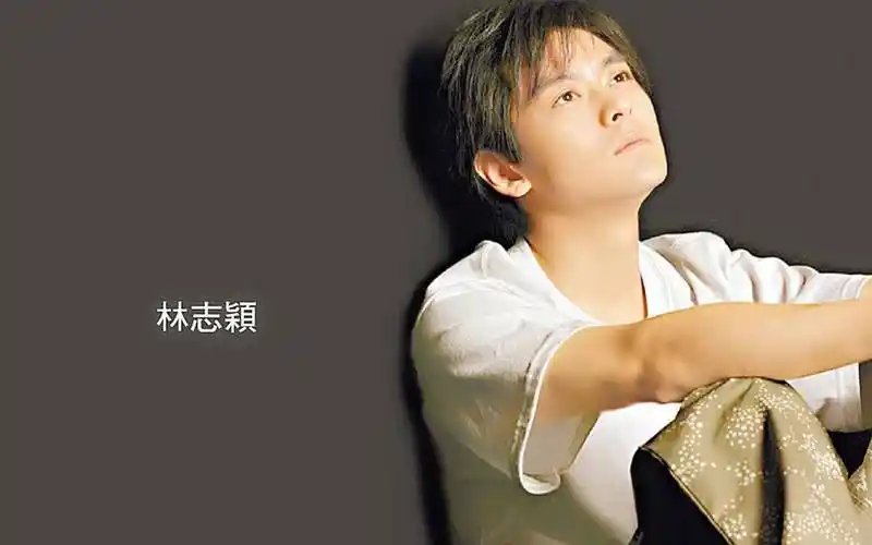 港台男明星林志颖高清壁纸