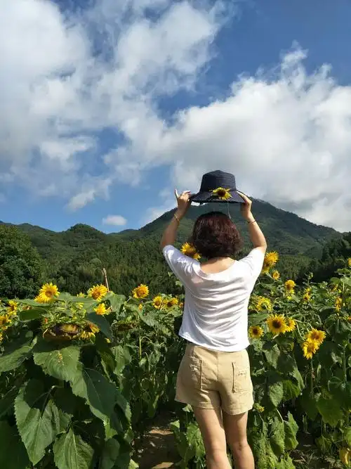 用最美的心情,过最好的生活.用最美的微笑表达内心的感受!