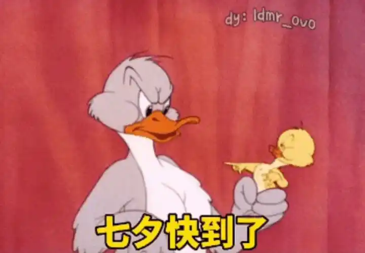 七夕快到了快去套路男朋友呀