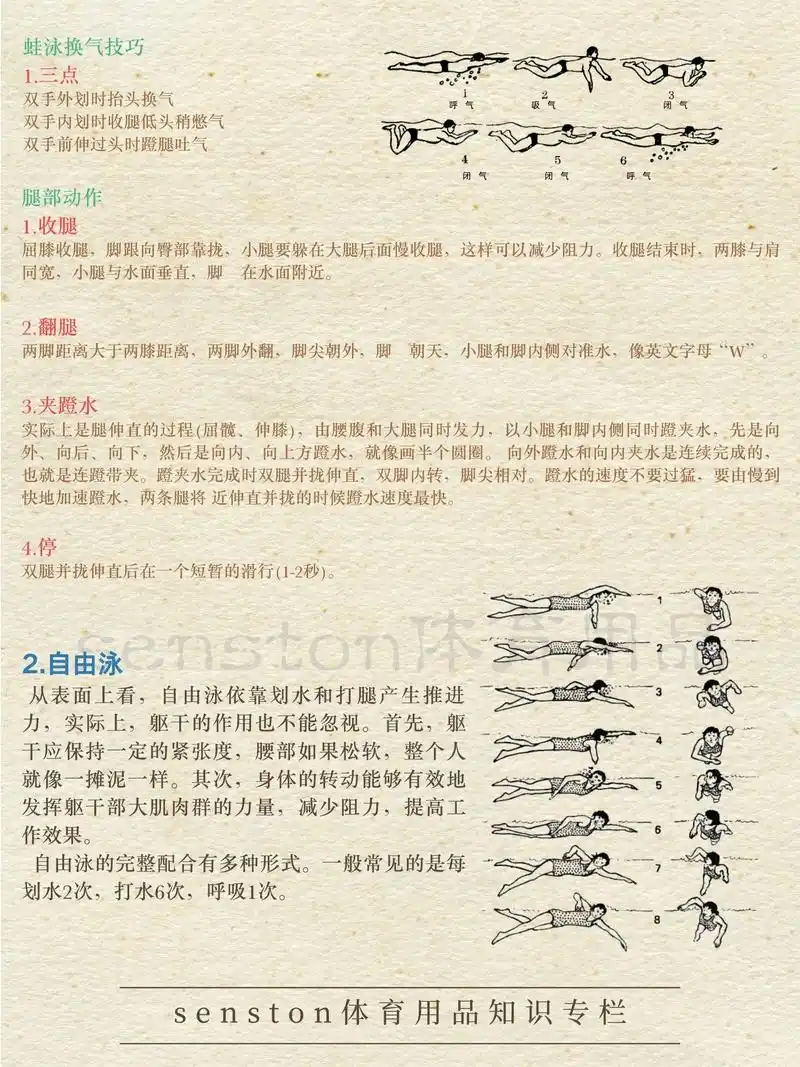 涨知识|4种泳姿图解教程(收藏).最近天气逐渐变热,想要去学 - 抖音