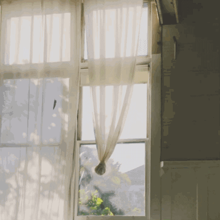 447_447gif 动态图 动图