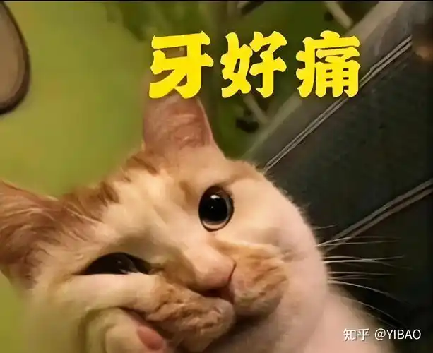 牙疼不是病,疼起来要人命!你有牙痛的经历吗?